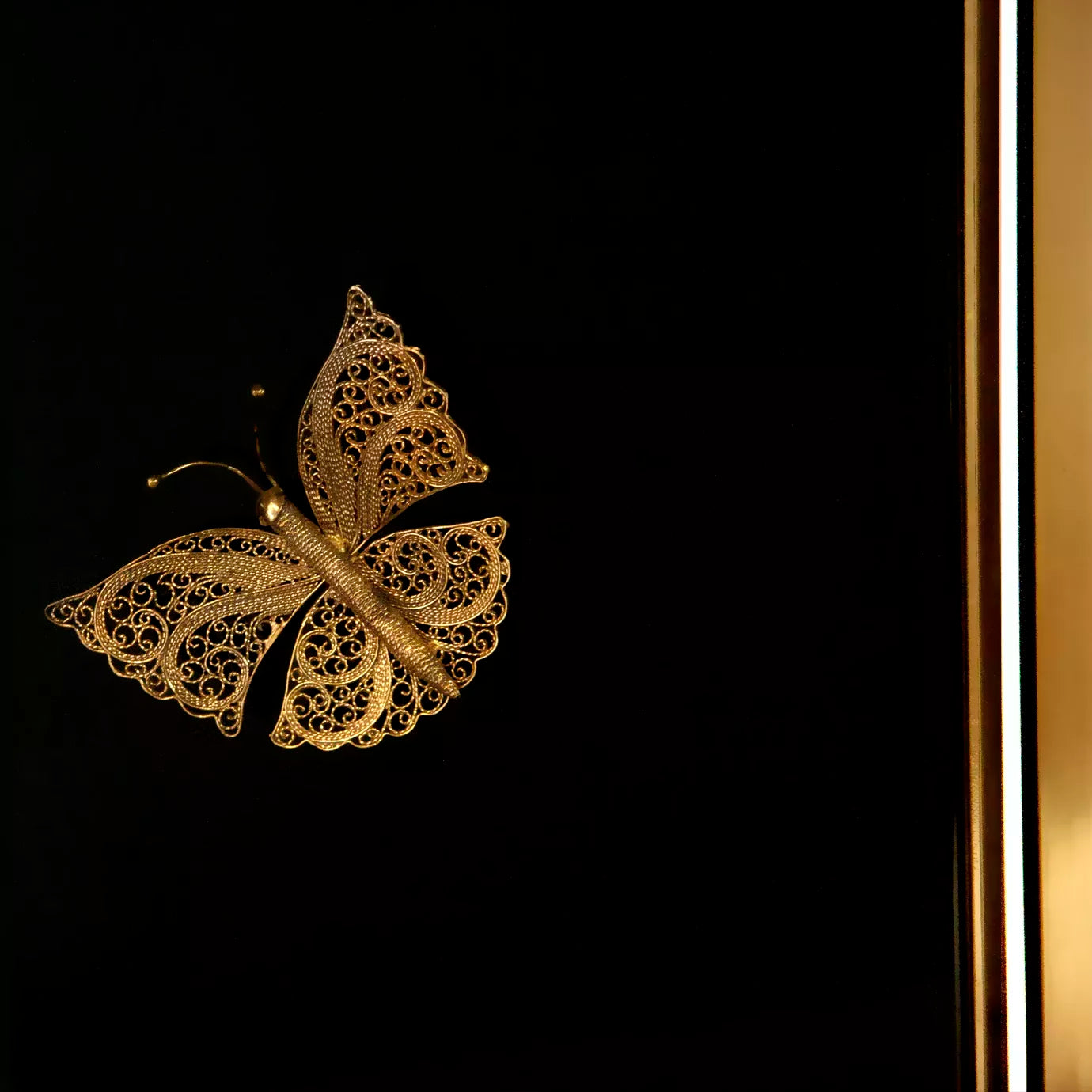 Euphoria Black Lacquer Metal Frame Screen