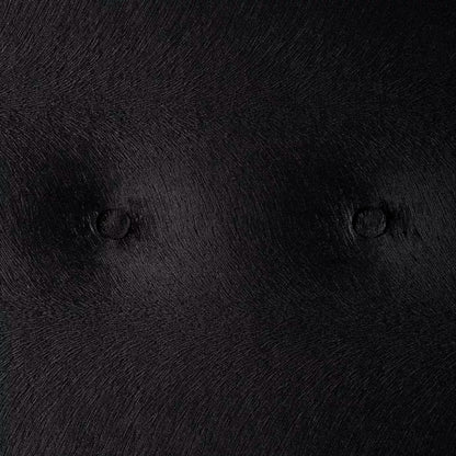 Alexia Bed